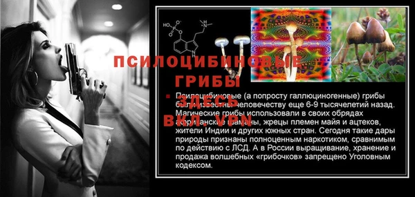 альфа пвп Надым
