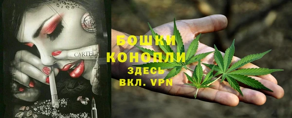 МДПВ Волосово